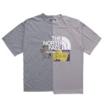 the_north_face_purple_label_crazy_hs_logo_tee_nt3009n